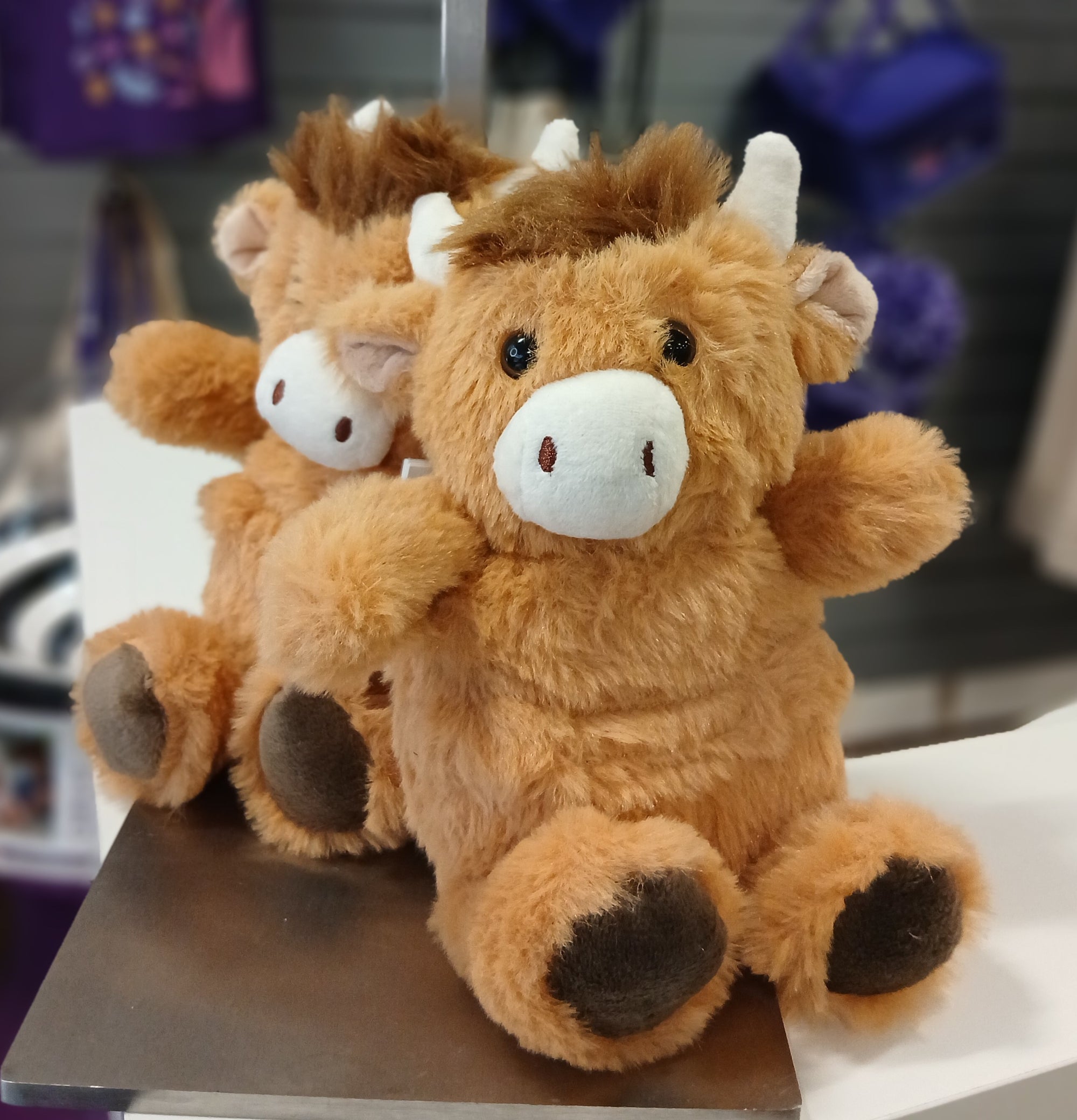 Mini Highland Cow Snuggable