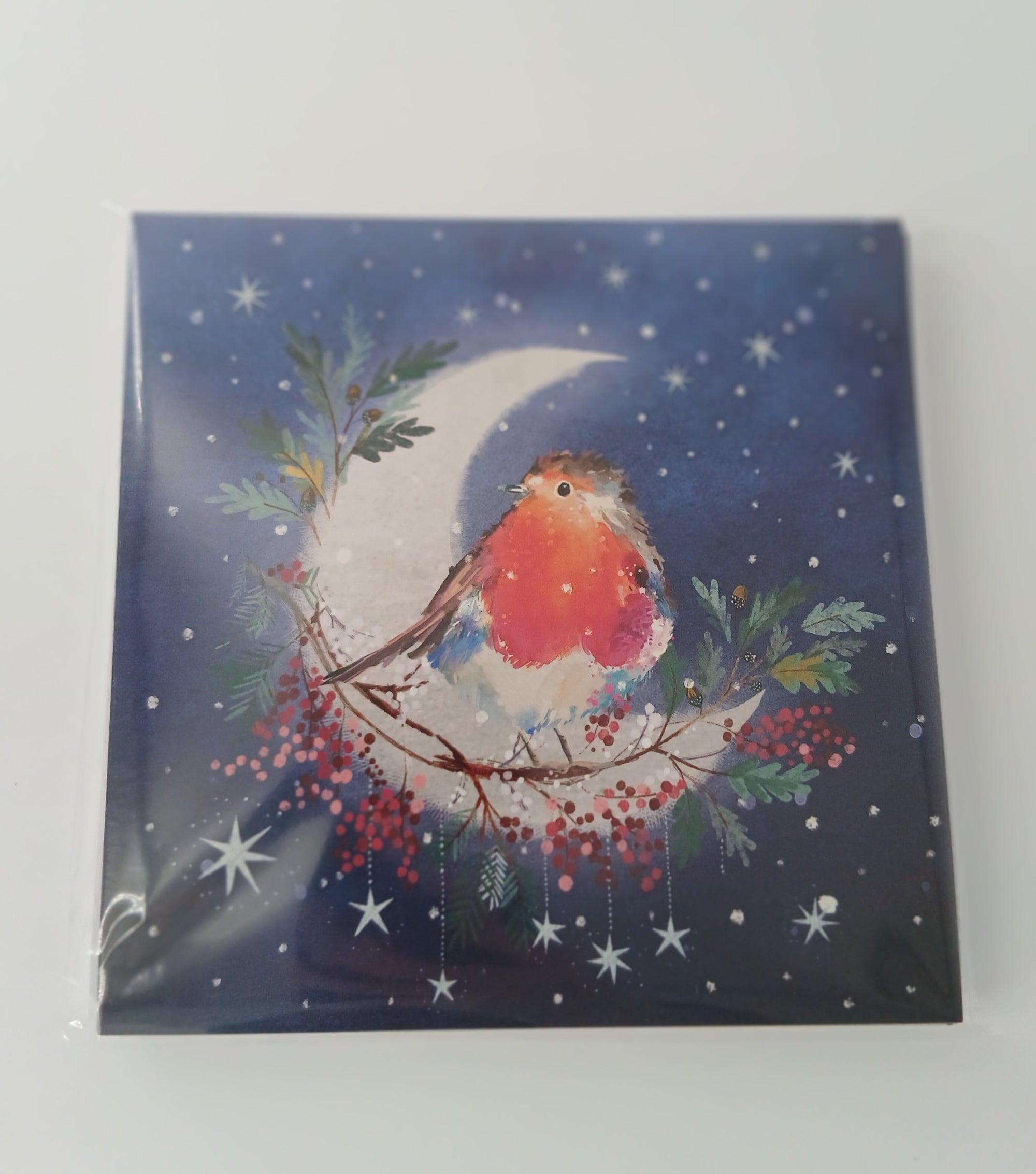 Silver Moon Christmas Cards